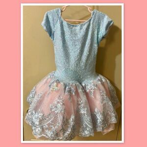 REVOLUTION Pastel Pink Blue Sequined Tulle Ballet Tutu Dance Costume ~ Size MC